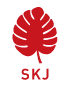 SKJコンサルティング合同会社
